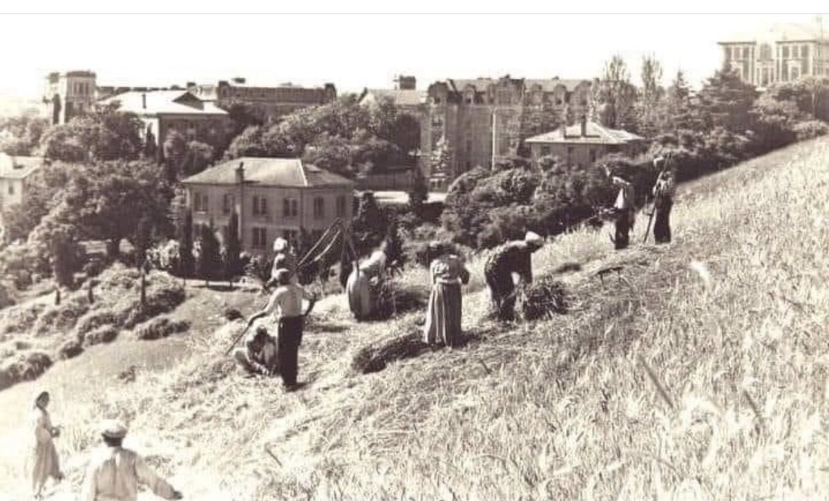 Rumelihisarı sırtları, Fonda Robert Kolej binaları.. 30’ların başları..