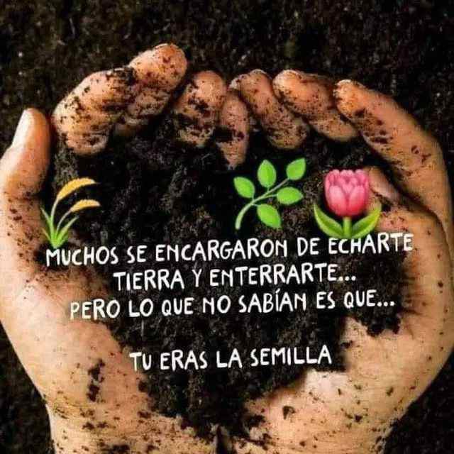 NETO_17_3's tweet image. Many were in charge of throwing dirt and burying you... but what they didn&apos;t know is that... you were the seed.