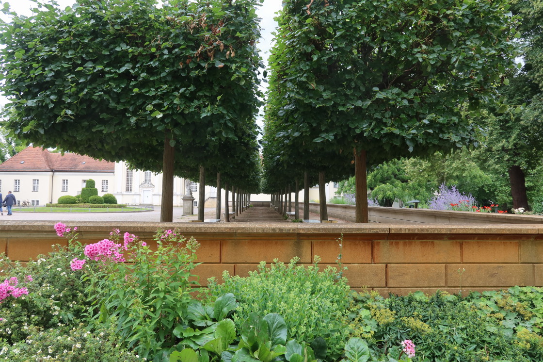 LuisenstadtF's tweet photo. #Schlosspark #Köpenick, #Allee https://t.co/ljhcJwsBGv