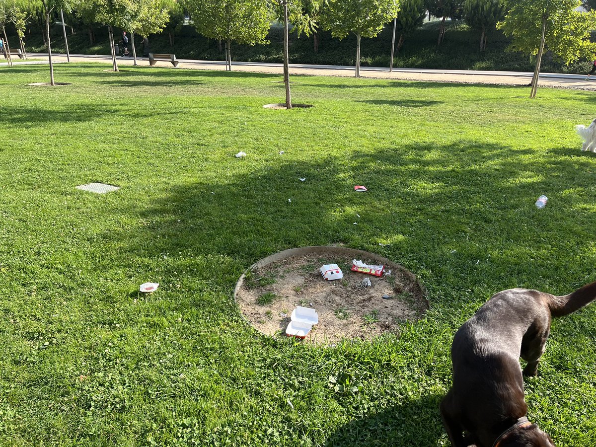 CarmenC74's tweet photo. @Lineamadrid por favor, manden equipo de limpieza al parque que está detrás de Antonio López 195 , detrás del edificio negro y blanco, está lleno de restos de basura, gracias https://t.co/JGaMKzUpjo