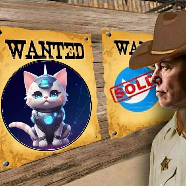CAT AI tweet media