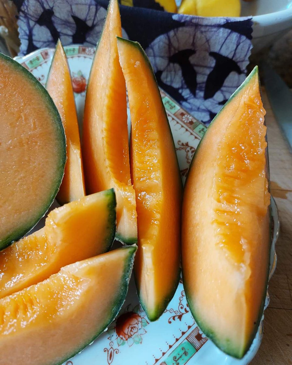 Melon amore x  Hayley