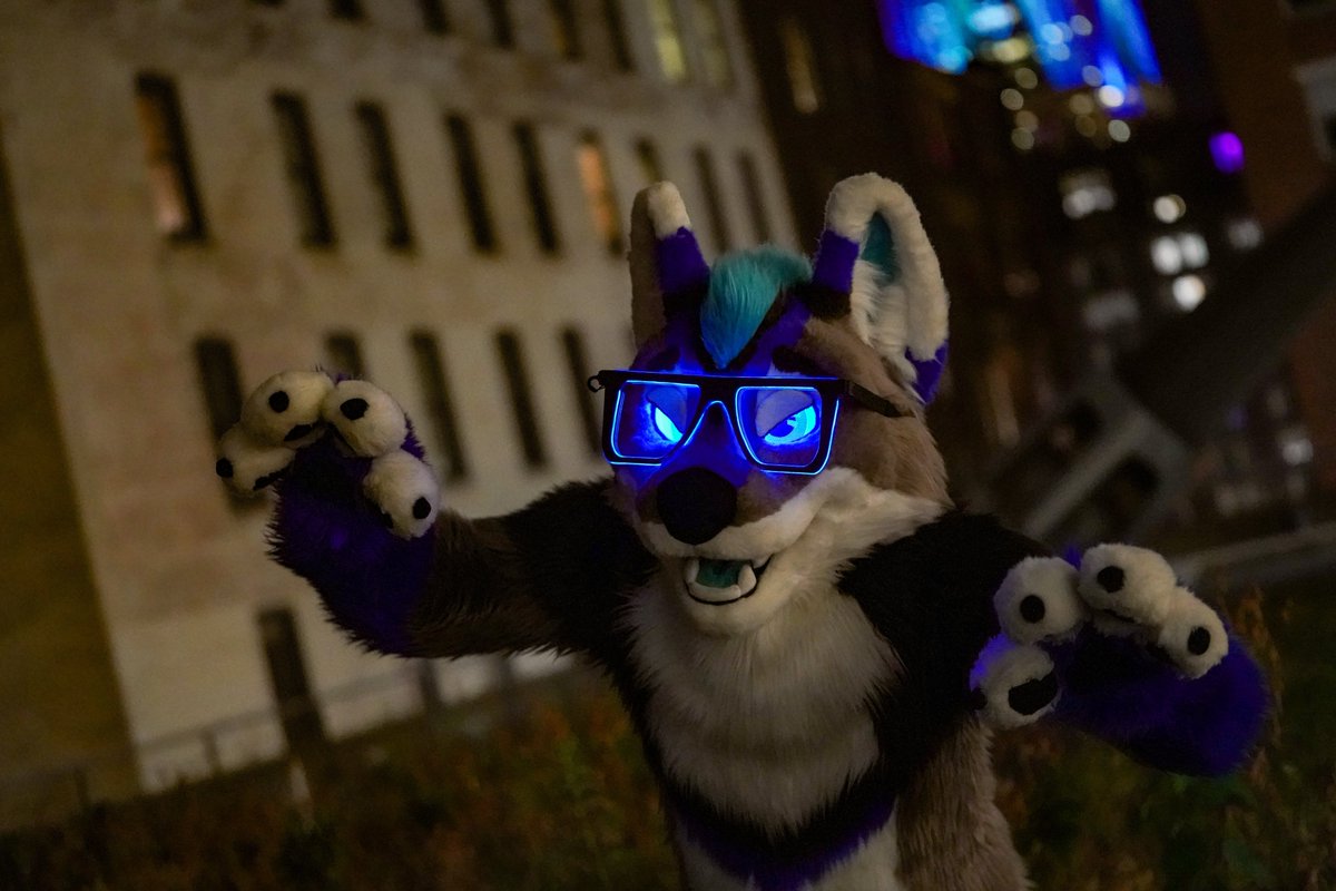 Ryder Wolf tweet media