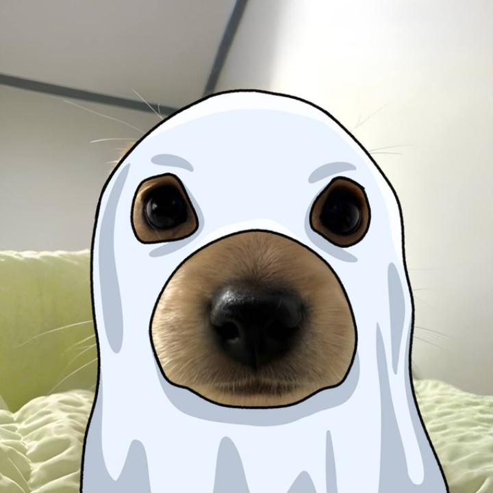 Boo solana tweet media