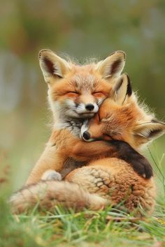 Alexa33370781's tweet photo. 😍❤️🦫🦫
@kristidkerr2 @MariePechova4 @cesc18121 
@CassidyLoup @glocarrero @BarkleytheTzu 
@Bebekosako @sasharoiz @Cees22331 
@cristelAng @Coralie62320 @pilitf https://t.co/j7OcQEyPme