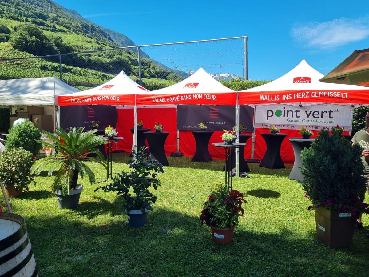 Damian Constantin (@constantin_vwp) on Twitter photo Fête nationale de l'abricot de vendredi à dimanche. Venez 
 Ce WE à #Saxon Le berceau de #abricot fera la fête à son #prince tout le week-end. Pleins d’attractions et grand marché artisanal #valais #fruits Fête nationale de l'abricot de vendredi à dimanche. Venez 
 Ce WE à #Saxon Le berceau de #abricot fera la fête à son #prince tout le week-end. Pleins d’attractions et grand marché artisanal #valais #fruits