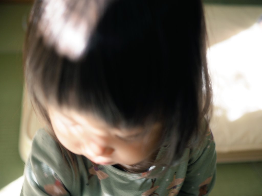 平泳ぎで休まずに100m(ง ˙˘˙ )ว
クロールで50m(ง ˙˘˙ )วできた
ビート板バタ足では、水中ウォークの人に抜かされる(´ω`)ﾅｾﾞ
脂肪は軽いのよね( ≖͈́ ·̫̮ ≖͈̀ )
  #写真は全然関係ない