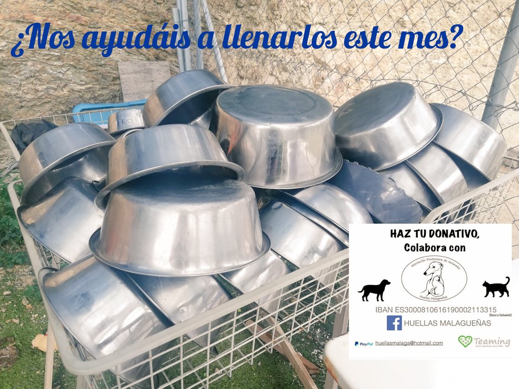 Hay meses tranquilos y meses complicados que se une todo.
Desde 1 € hasta lo que podáis o compartiendo el tweet. Todo nos viene genial. Pero estamos muy escasos de pienso. GRACIAS y buen viernes.🤗