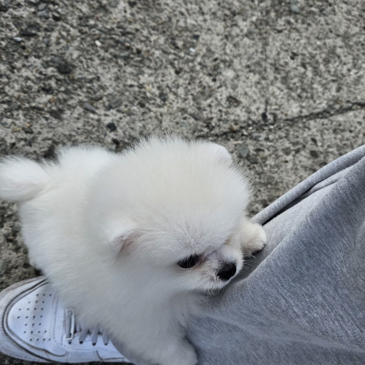 떨어지지 않습니다