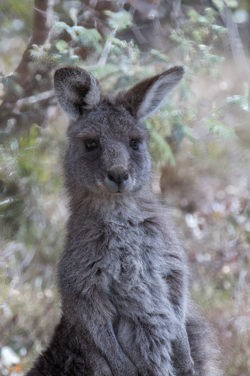 James Smith tweet media