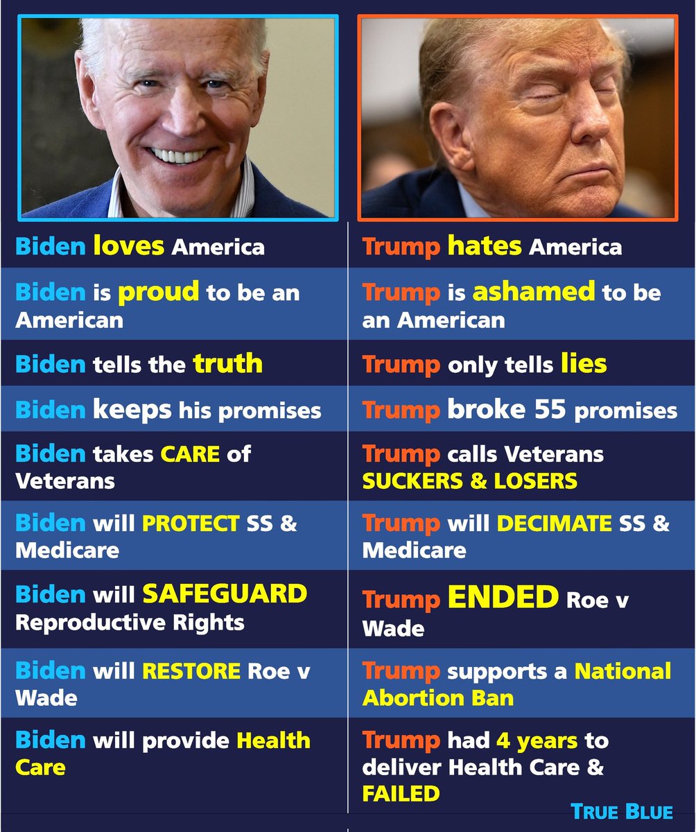 ☮️ #PresidentBiden brings UNITY

🤬 #Trump brings DIVISION

#DecencyVDestructive 
#VoteBlueForDecency