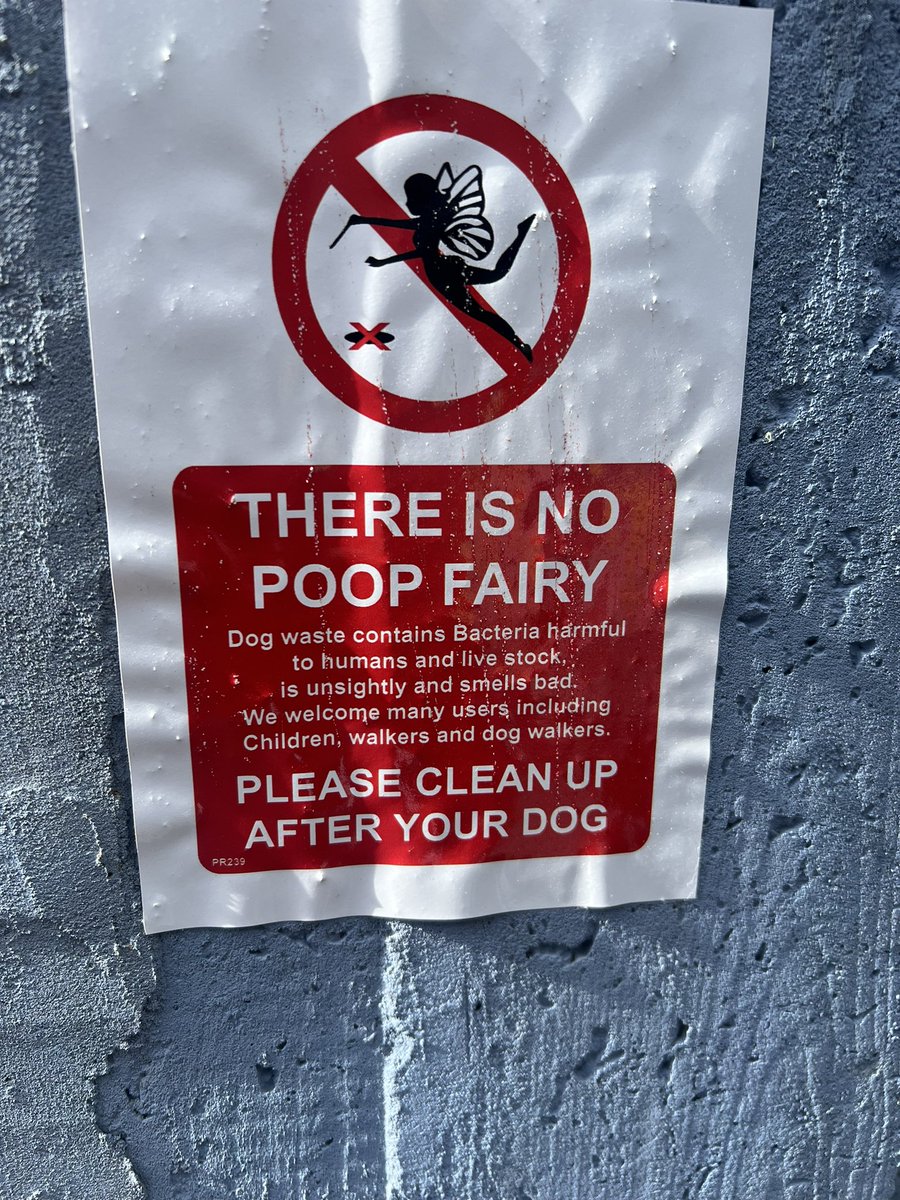 DeadGhostPixels (James) tweet media