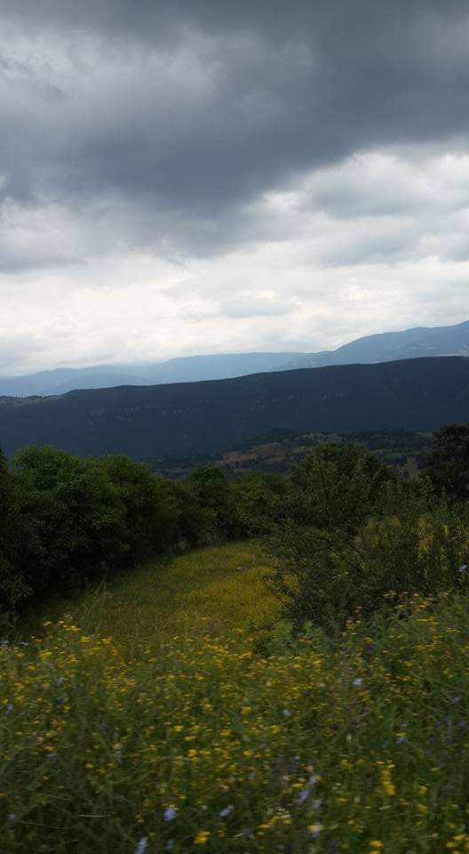 Kalbinizde ilk sıraya ALLAH'ı koymazsanız; hem ALLAH'ı kaybedersiniz, hem de ilk sıraya koyduklarınızı!