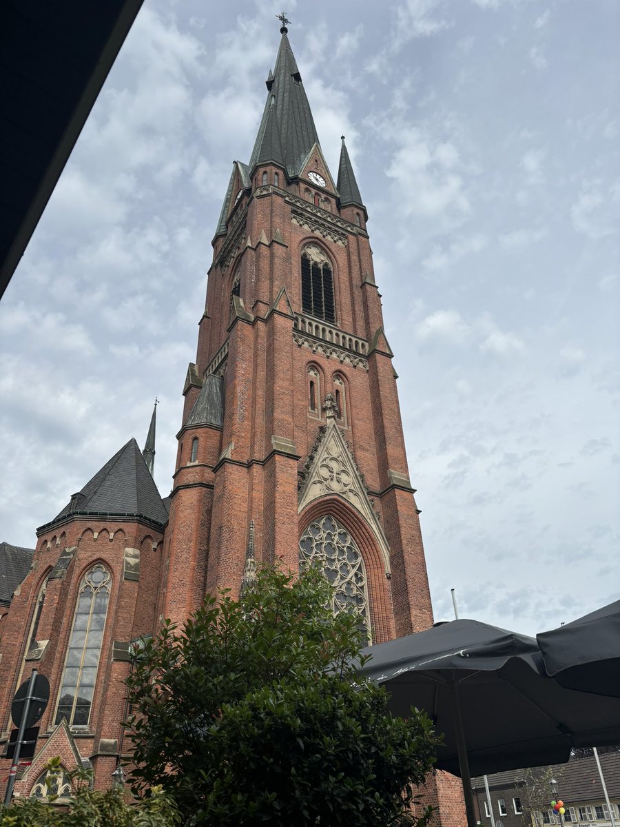 David Steverding tweet media