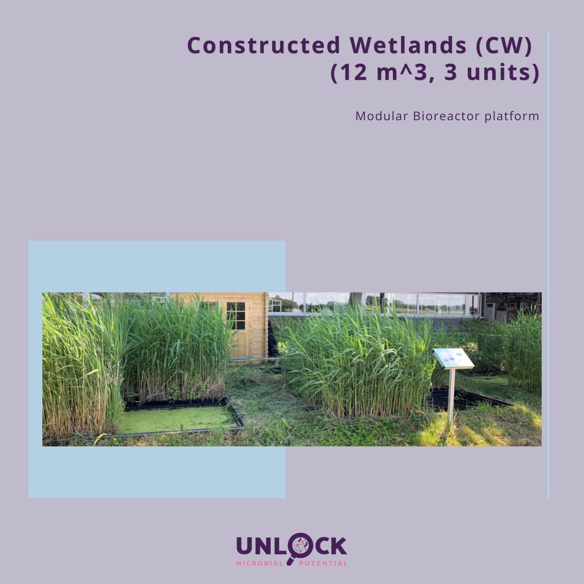 UNLOCK-microbiomes tweet media