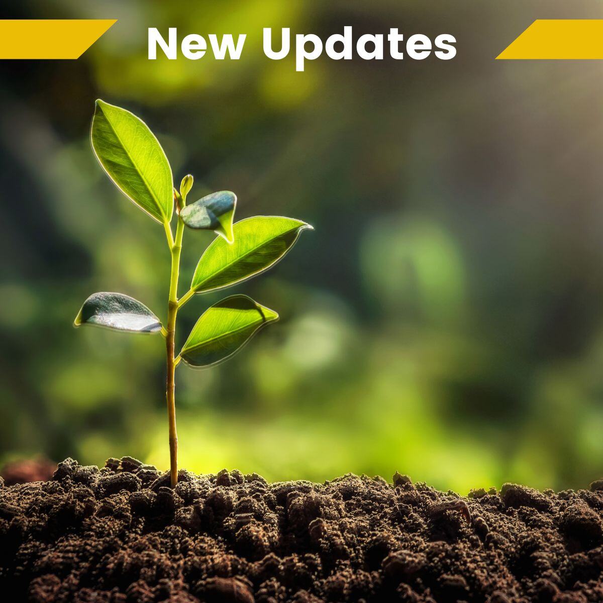 unepwcmc's tweet photo. 📢 A new major upgrade to ENCORE 

We recently launched the updated ENCORE tool, allowing users to access a more detailed analysis of their nature-related risks and dependencies.🎊

👉 https://t.co/zlVspSET44 https://t.co/ll6vqNPHCf