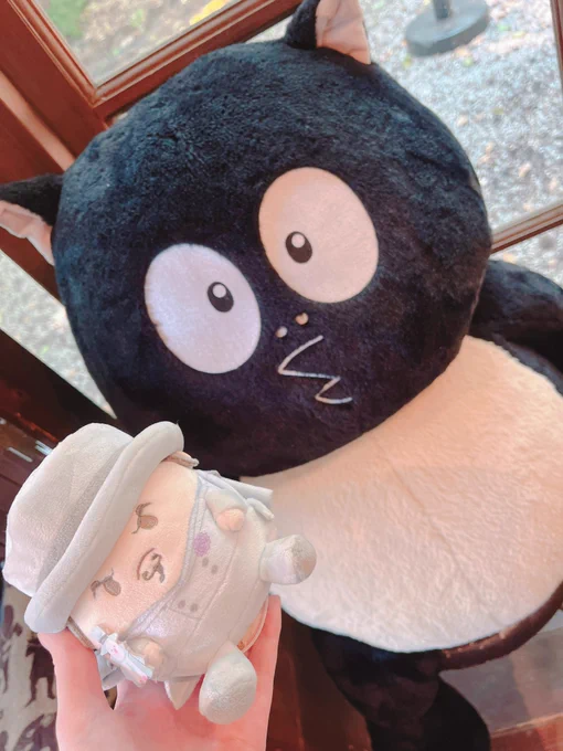 実は持ち込みに行く前に鬼○郎茶屋に行き、大好きなたぬきの置かれた窓際テーブルでサンデーを食し、他では手に入りにくいお買い物ができました、こんなに良い思いもしてきたんですよ  沢山泣きましたが…東京は良い街です  色んな方に慰めて頂きご心配おかけしてすみません、皆様お優しいです