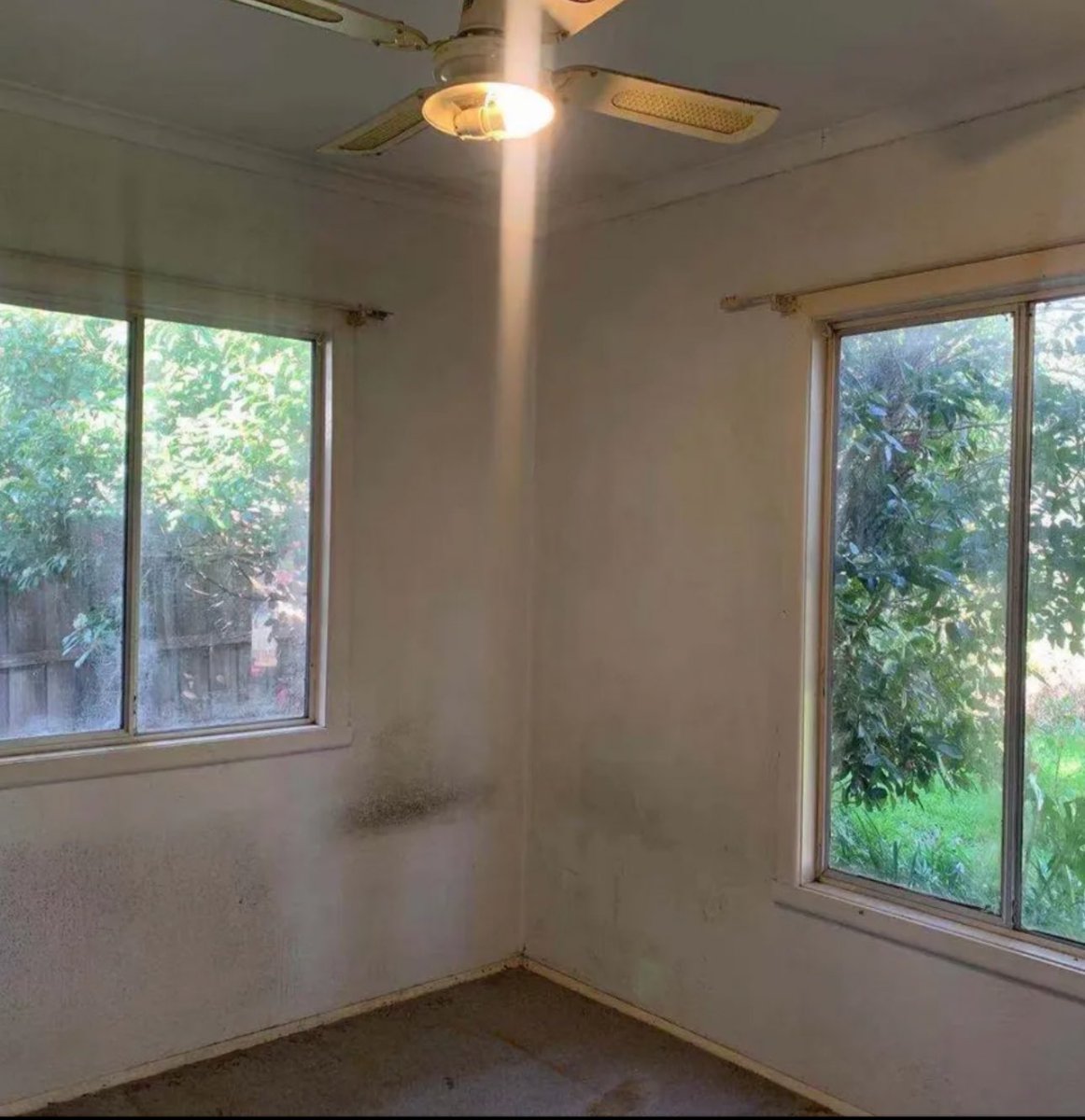 purplepingers's tweet photo. A lot of disingenuous folks get fired up about squatting saying “it’s dangerous coz there could be mould or asbestos” like we aren’t already paying for the privilege of living in an asbestos and mould ridden private rental. (Old photos of an actual rental ad)
I’ve been to abandoned homes in far better condition than some private rentals.