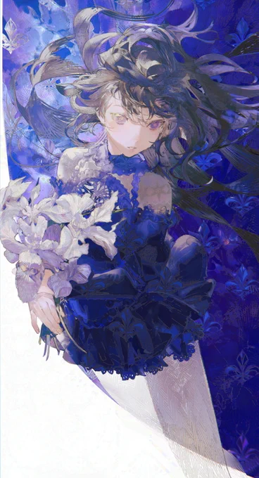 iris 