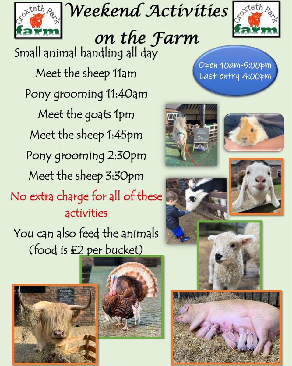Our activities this weekend, they will be brought under cover where possible if the rain continues. Luckily our animals are all from the UK and are well used to our weather! #britishsummertime #fourseasonsinoneday #daysout #placestovisit #meettheanimals 🐂🦃🦚🐏🐖🫏🐓