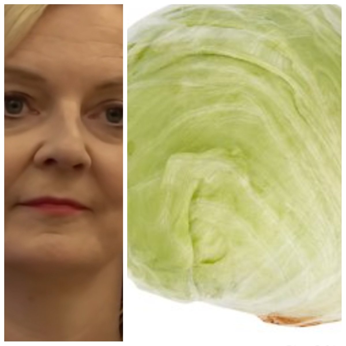 Kdog71308195's tweet image. Thank God Liz Truss is out of politics now.
#ConservativeParty 
#LizTruss 
#LabourLandslide2024