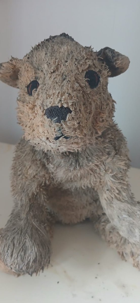 This is slowly becoming a lost and found account - but my Dad came across this little teddy on the pavement on Bishops Walk in Llandaff this morning 🧸please help us find the owner as it looks very well loved!