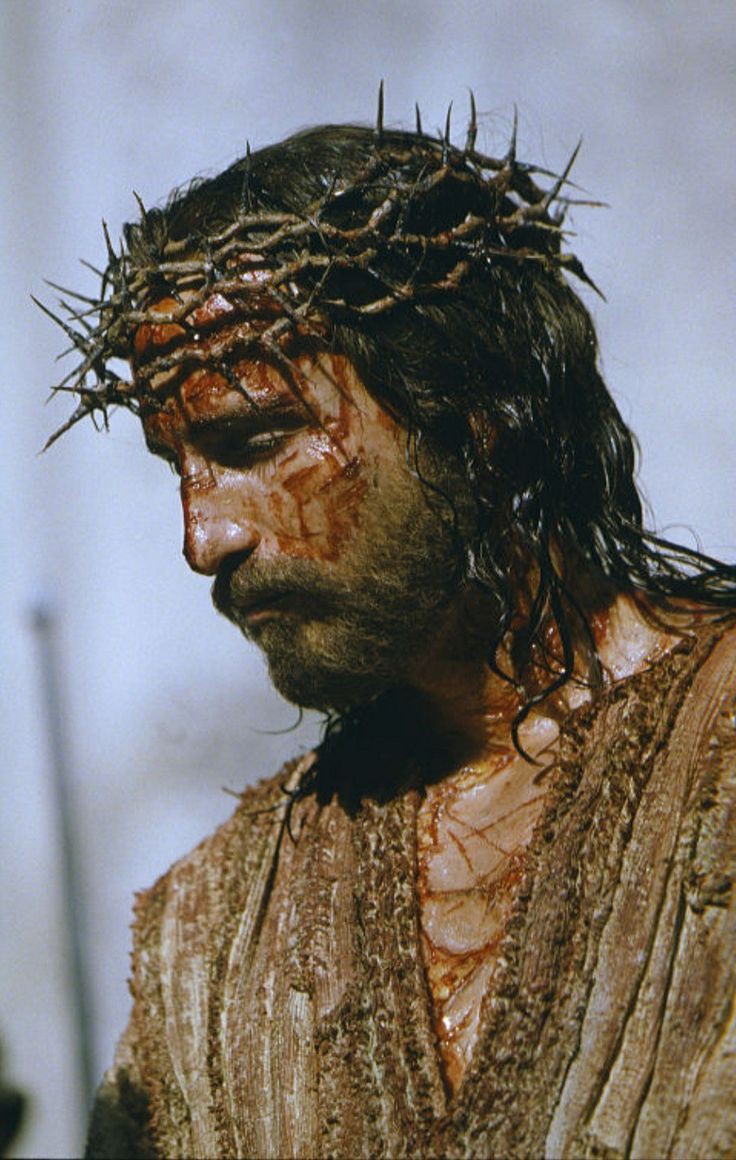 ErnestoMaria10's tweet image. Ó Preciosíssimo Sangue de Nosso Senhor Jesus, venha nos libertar dos nossos pecados. Amém 🙏