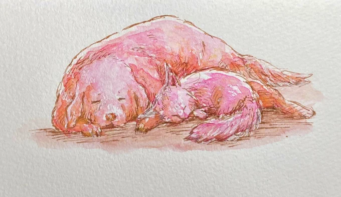 うづきへ 「なんか(概念)」描きました。お待たせいたしました。ご査収ください。 わたしより