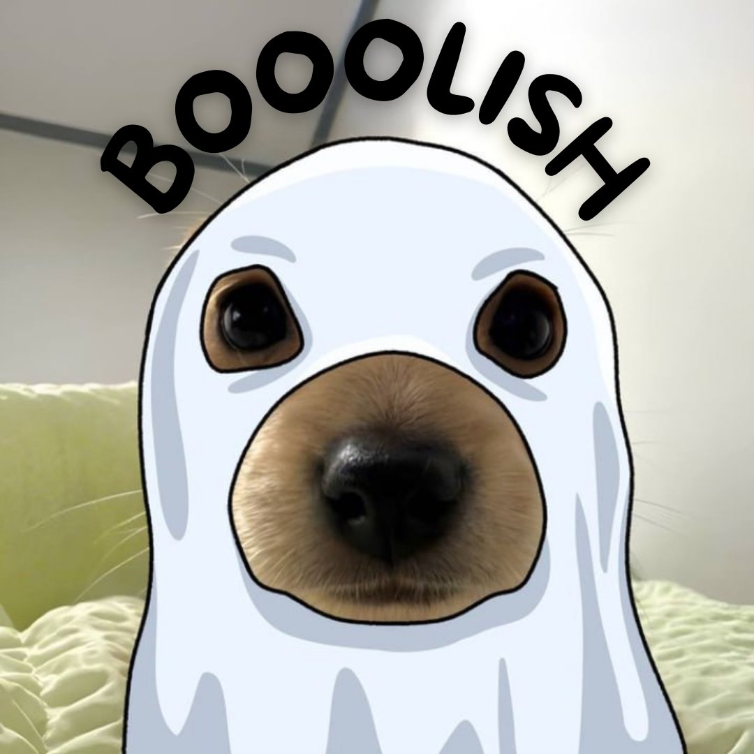 Boo solana tweet media