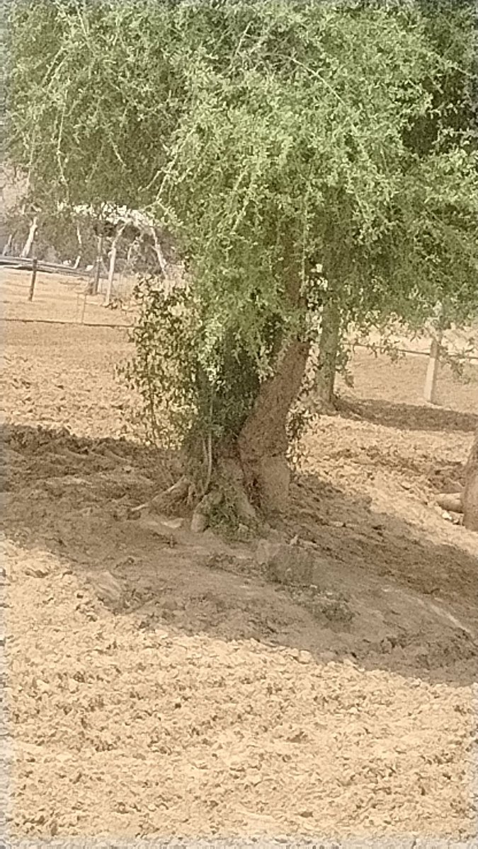 मेरा एक सवाल है सभी से सरकार से केंद्र सरकार से सभी नेता से और ट्विटर मीडिया सोशल मीडिया सभी से क्या इन लोगों ने कभी किसानों के बारे में सोचा था कि आज तक लाइट का कोई सॉल्यूशन नहीं हुआ है अभी किसने की हालत हो रखी है उनको लाइट नहीं मिल रही है टाइम पर तुम लोग अगर थोड़ी बहुत शर्म है