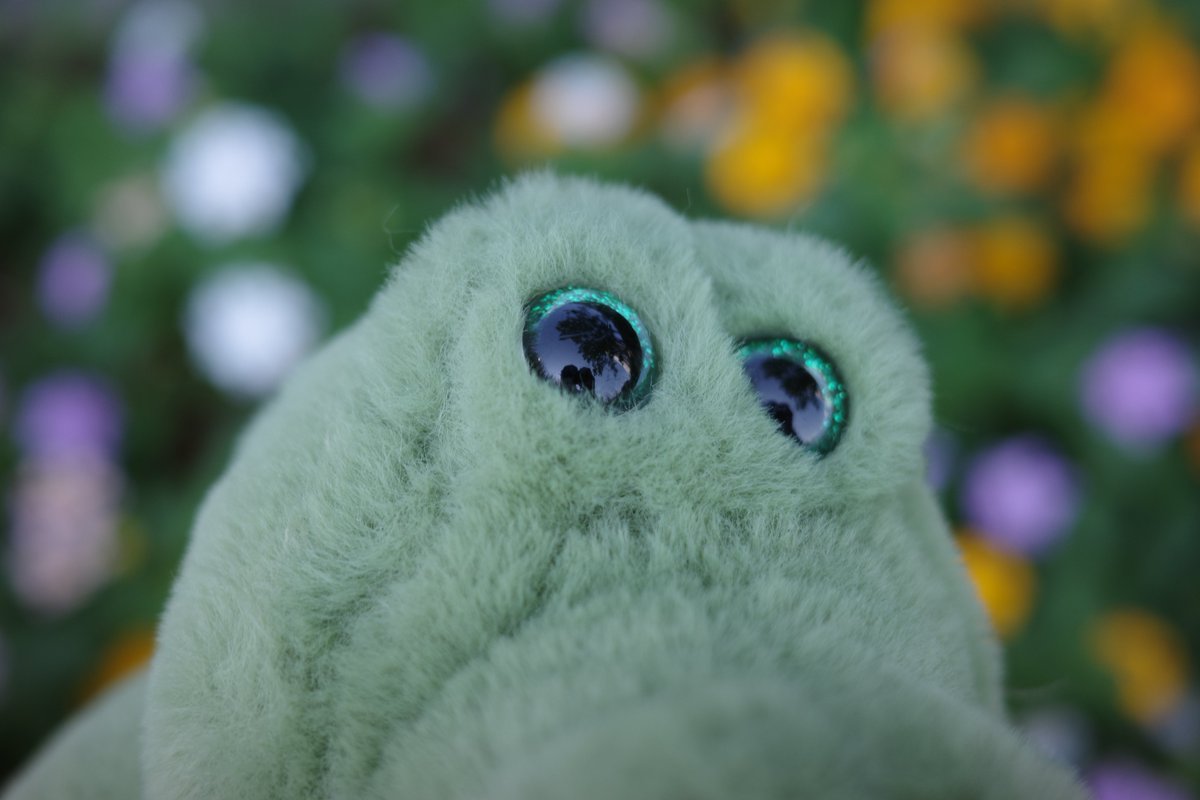 honogra's tweet photo. お花に喜ぶワーリー
 #ワーリーフォトコンテスト https://t.co/53rMdGXrDm