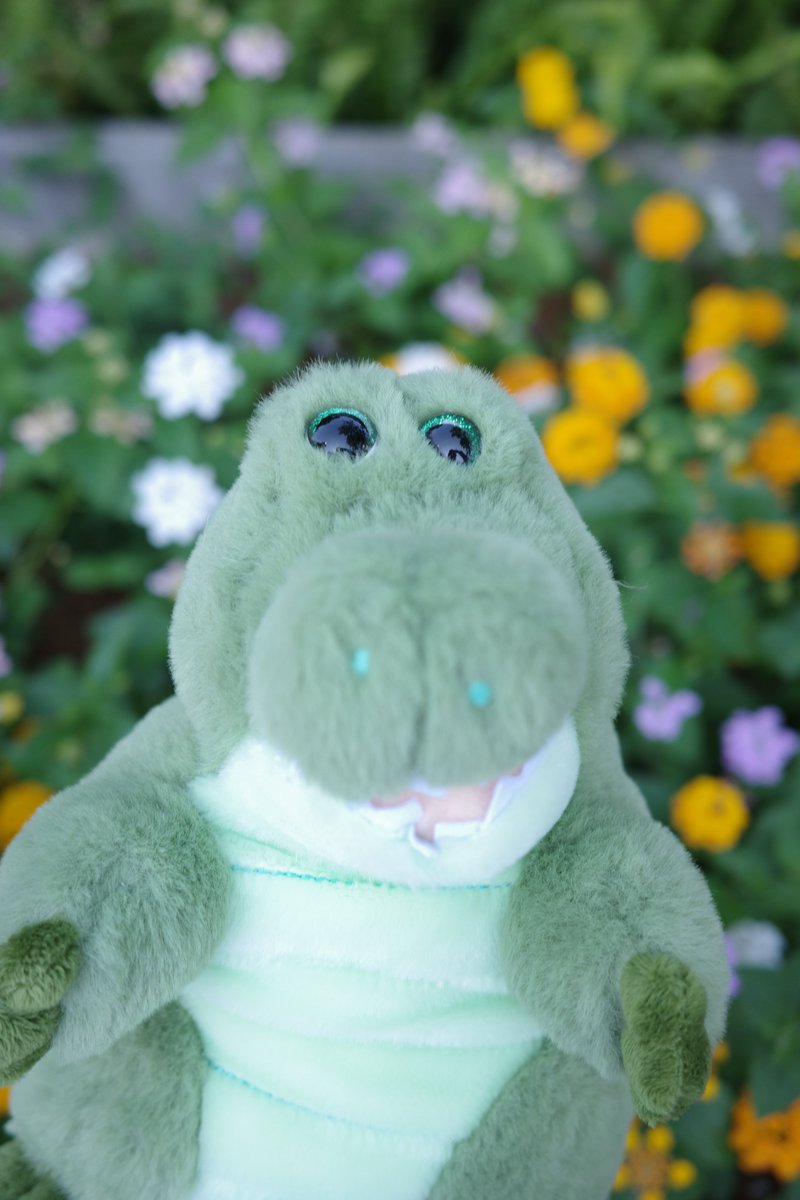 honogra's tweet photo. お花に喜ぶワーリー
 #ワーリーフォトコンテスト https://t.co/53rMdGXrDm