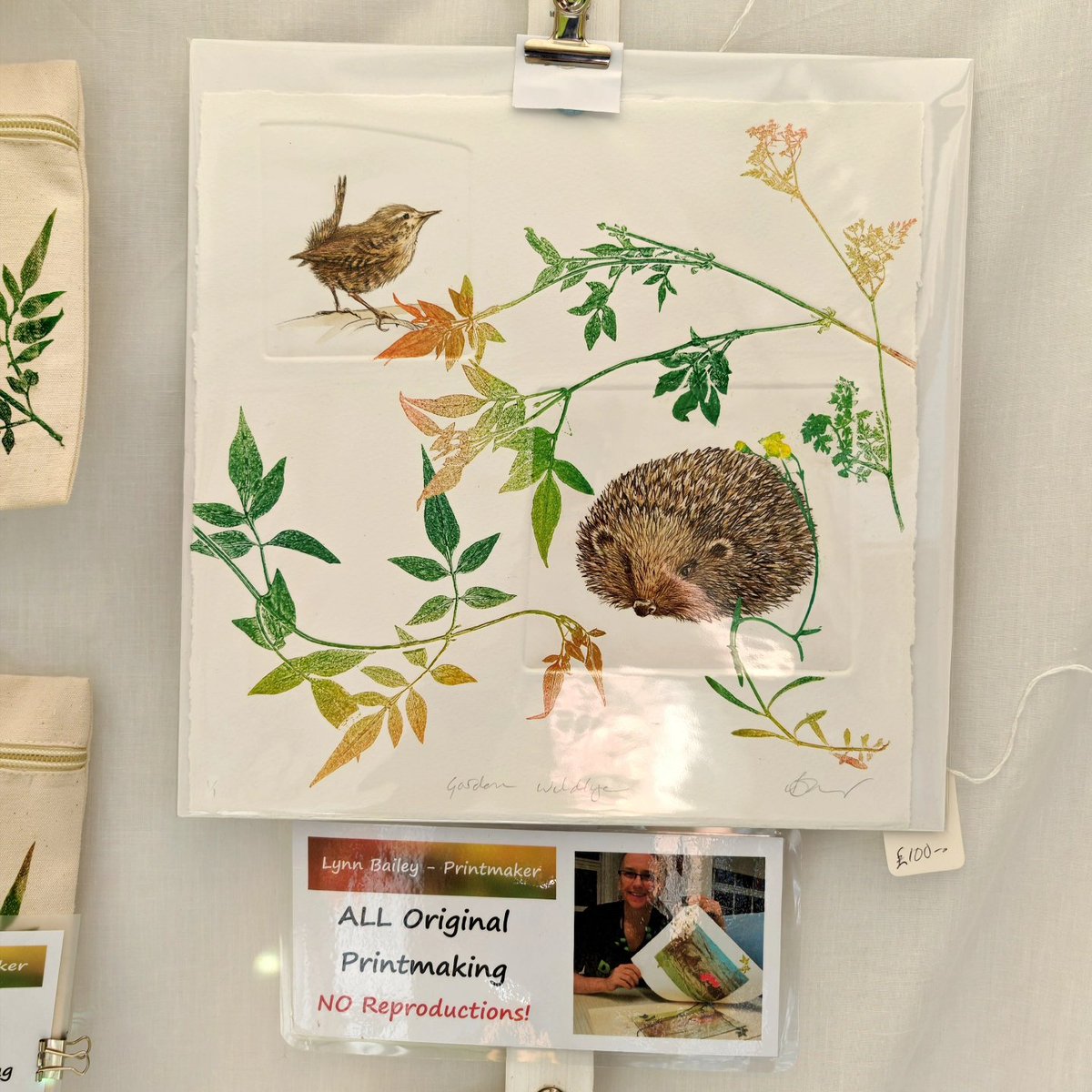 Lynn Bailey tweet media