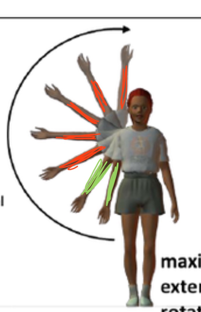 VAR-Watch👀 tweet media