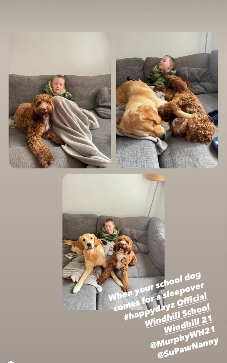 Saturday snuggles with the best pals! Fletcher and his school dog are taking relaxation to the next level. 🐾💕 #WeekendVibes #BestFriends #DogLove #CuddleTime #homeboarding #SuPawNanny #windhill21 <a href="/MurphyWH21/">Murphy's Moments @ Windhill21</a>