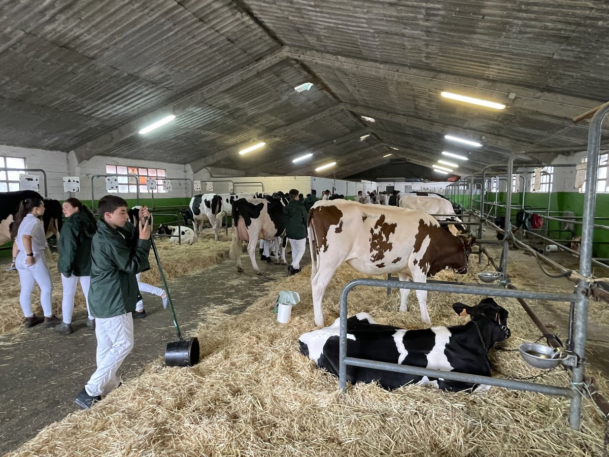 MRuralAsturias's tweet image. 🐄 El consejero de Medio Rural y Política Agraria, @Marcelotineo, y la DG de Ganadería y Sanidad Agraria, Rocío Huerta, han visitado en #Colunga la 18º Escuela Nacional de Preparadores de la Confederación Nacional de Frisona Española (#Conafe) 2024. 

@GobAsturias