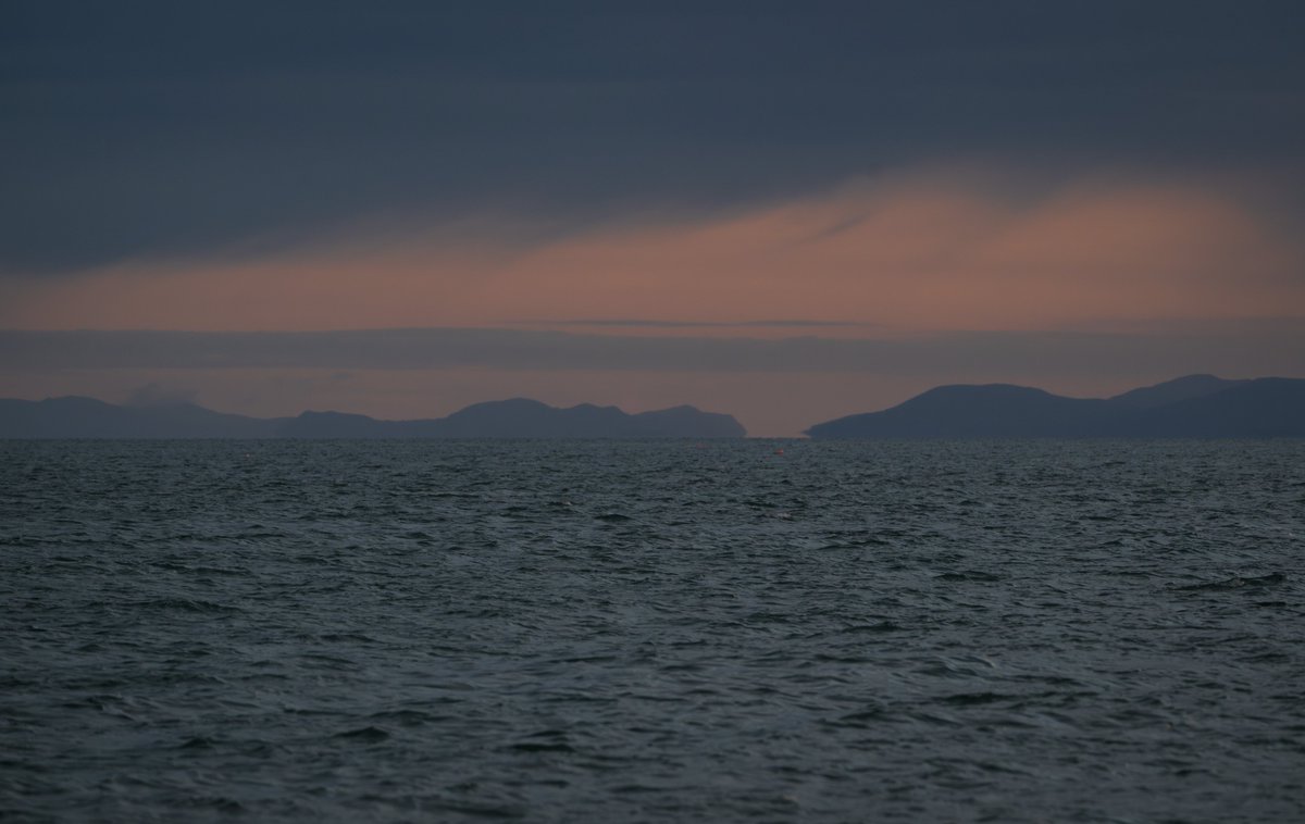 david_gange's tweet image. It&apos;s one of those weekends when there&apos;s salmon around, &amp;amp; the dolphins have gathered for the chase...