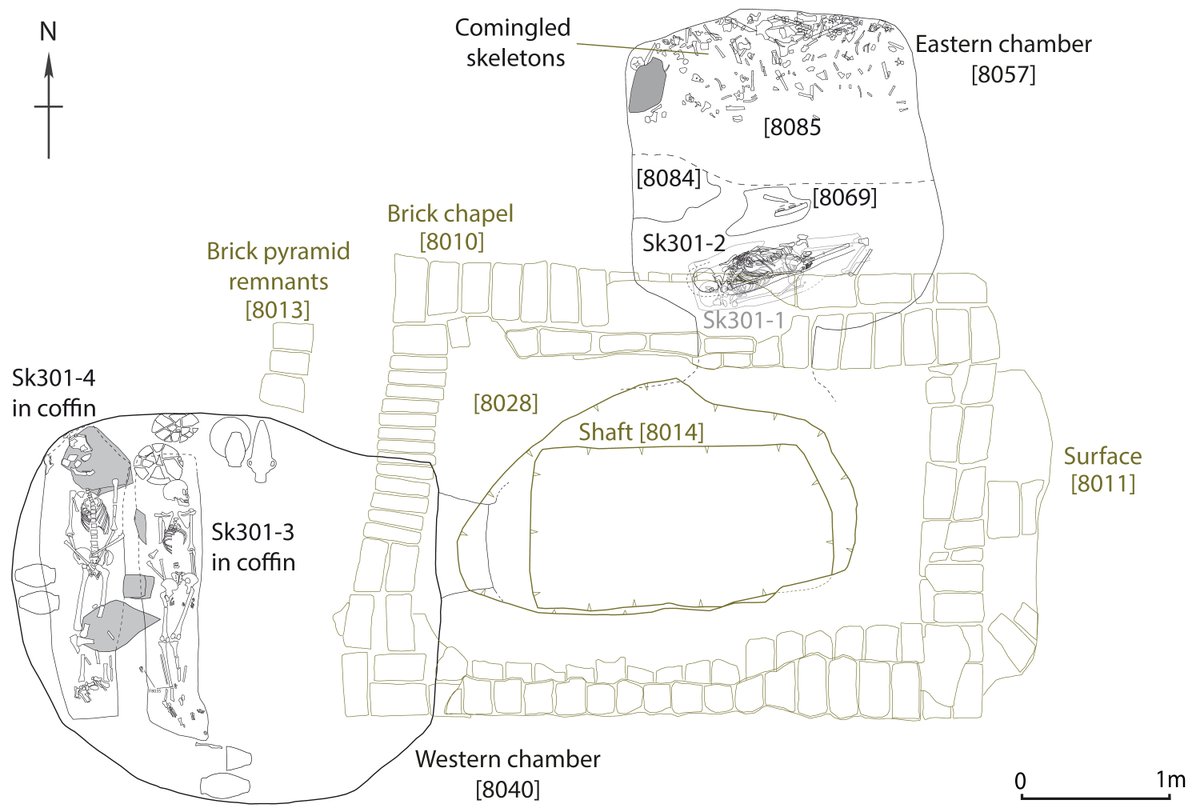 Some of mid-tier pyramid tombs contained both local and non-local individuals, but all those analysed from chamber and niche tombs were of local origin (as were individuals buried after the end of pharaonic rule).