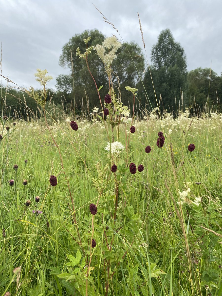 Julian Cooper tweet media