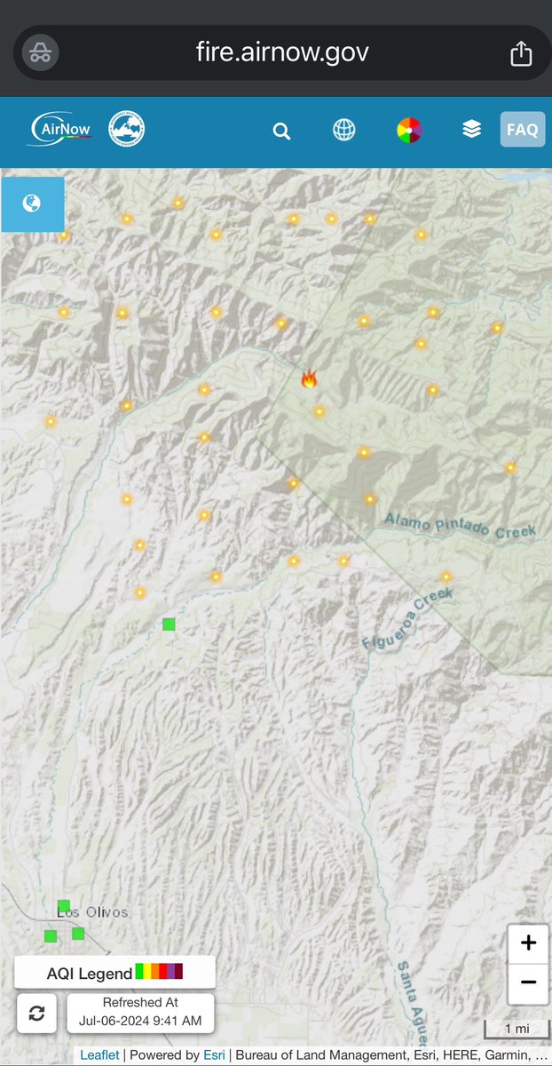 CatDance tweet media