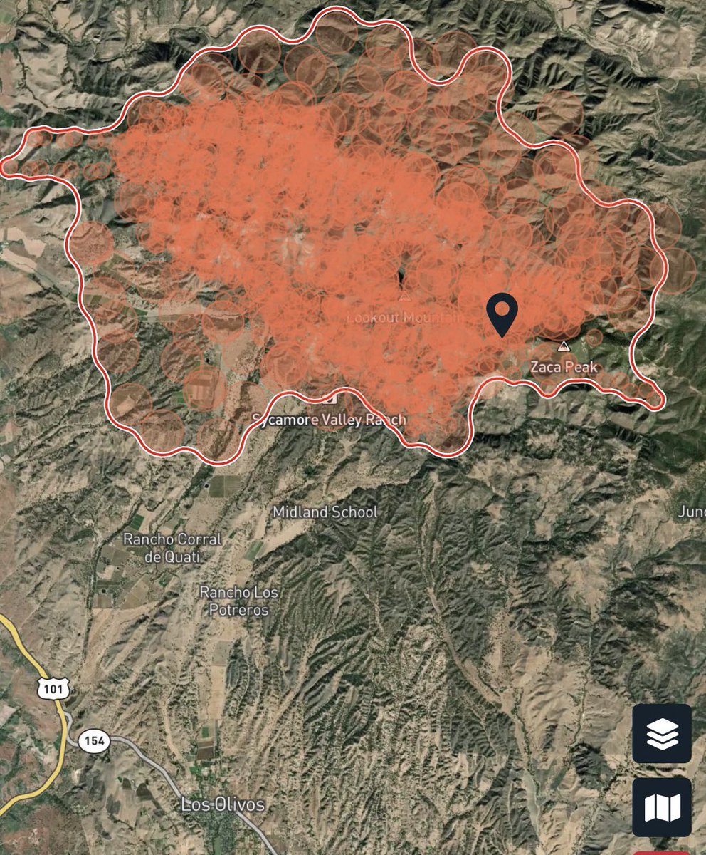 CatDance tweet media