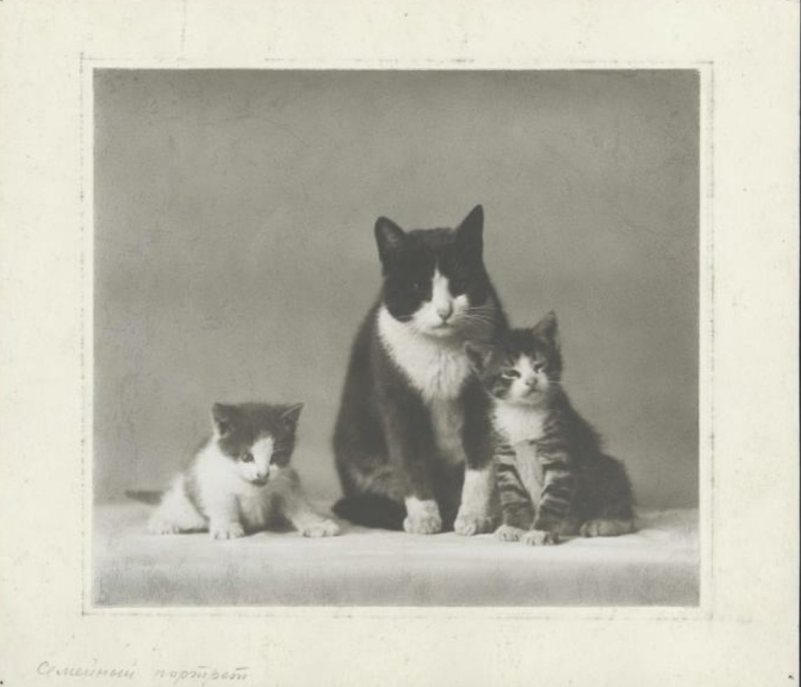 PunchingCat's tweet image. “Family portrait” taken by Vasily Ulitin, Soviet Russia, 1920s