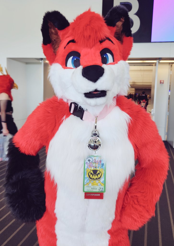 Badabingbangbuck tweet media