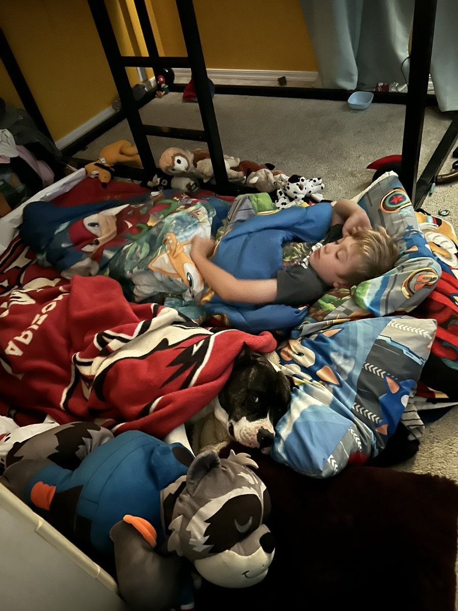 Daveybwoy15's tweet image. My son has a badass bunk bed but insisted on sleeping on the floor with his dog 🐶 🤣 
#singledadlife