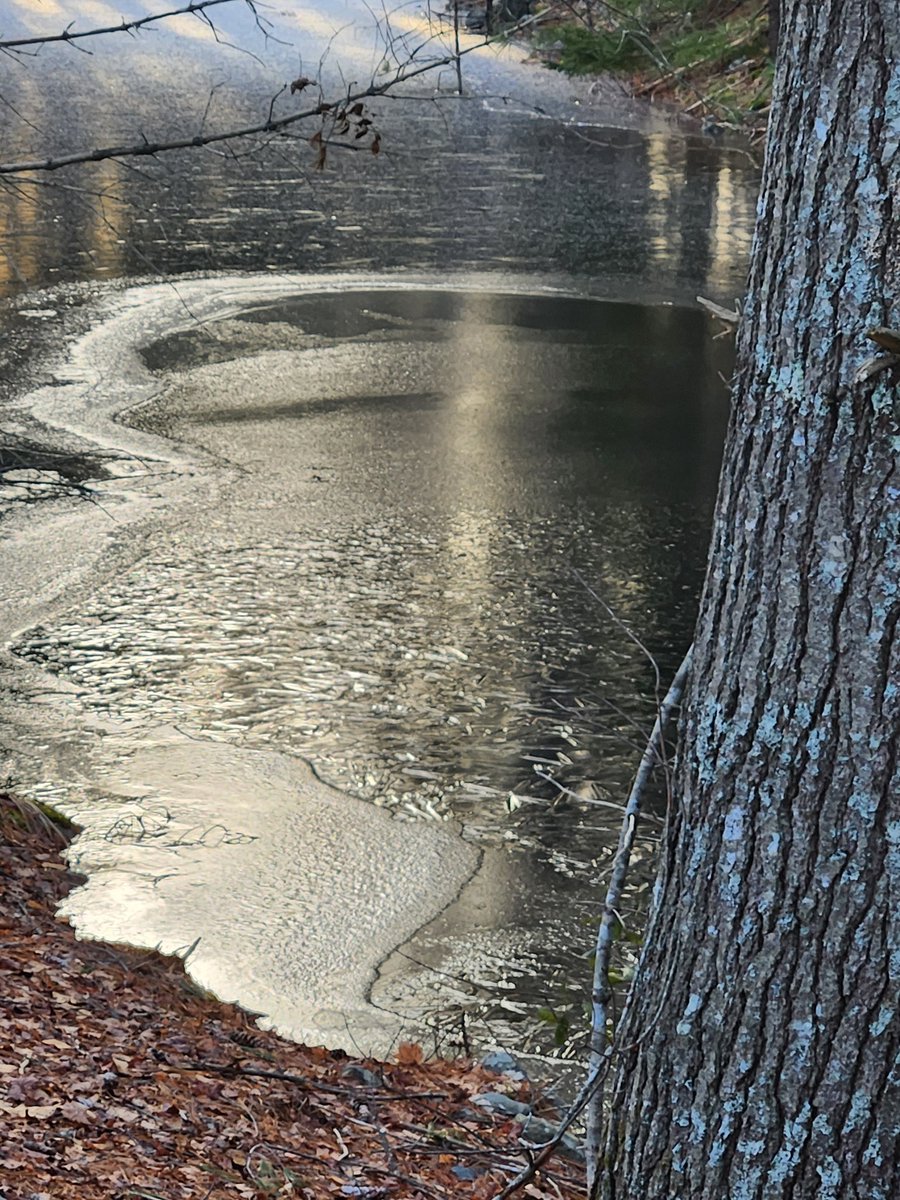 QP one of your more creative photos. I usually let nature create. I just search it out.