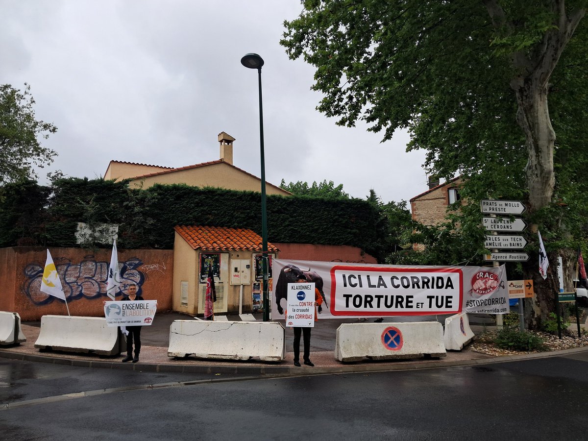 AllianceEthique's tweet image. Action en cours avec @BeziersColbac, @L214, @SaveSete en soutien du @CRAC_Europe 66. Il pleut à #ceret (66). La novillada sera-t'elle annulée ? Ns l'espérons sincèrement pour les 6 taurillons. Assez de sang versé !
#StopCorrida #CorridaAbolition