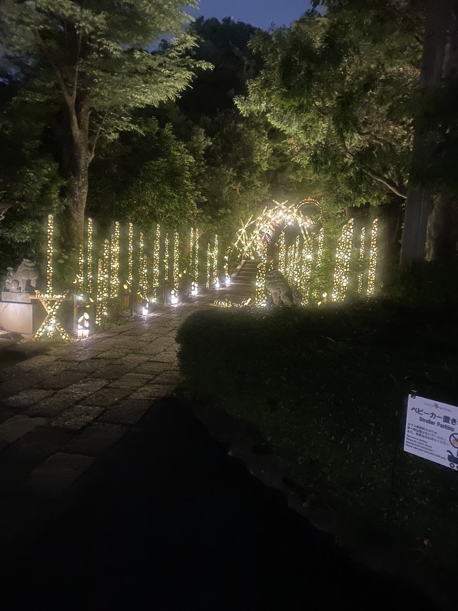 ホタル見て来た✨