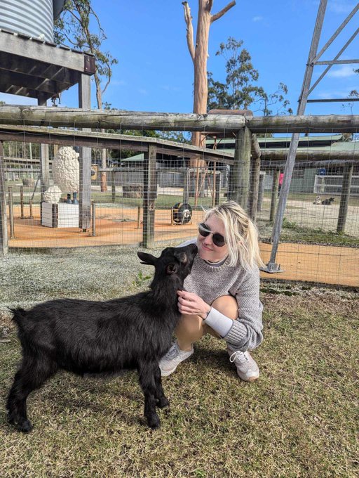 I wuv goats https://t.co/dmz4bz1y5a