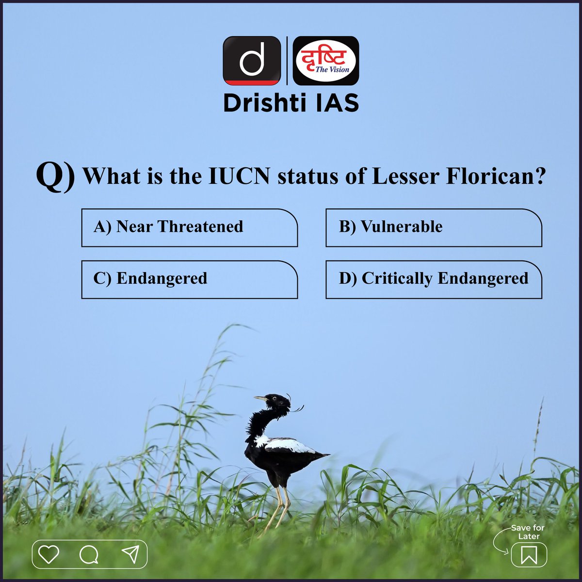 drishtiiaseng's tweet photo. Read about the Great Indian Bustards Recovery Program!
#DrishtiDailyBrief #GreatIndianBustard #Bustards #Recovery #Program #CAMPA #Habitat #Rajasthan #IUCN #NearThreatened #Vulnerable #Endangered #CriticallyEndangered #UPSC #IAS #DrishtiIAS #DrishtiIASEnglish https://t.co/rFNG2yuwhZ