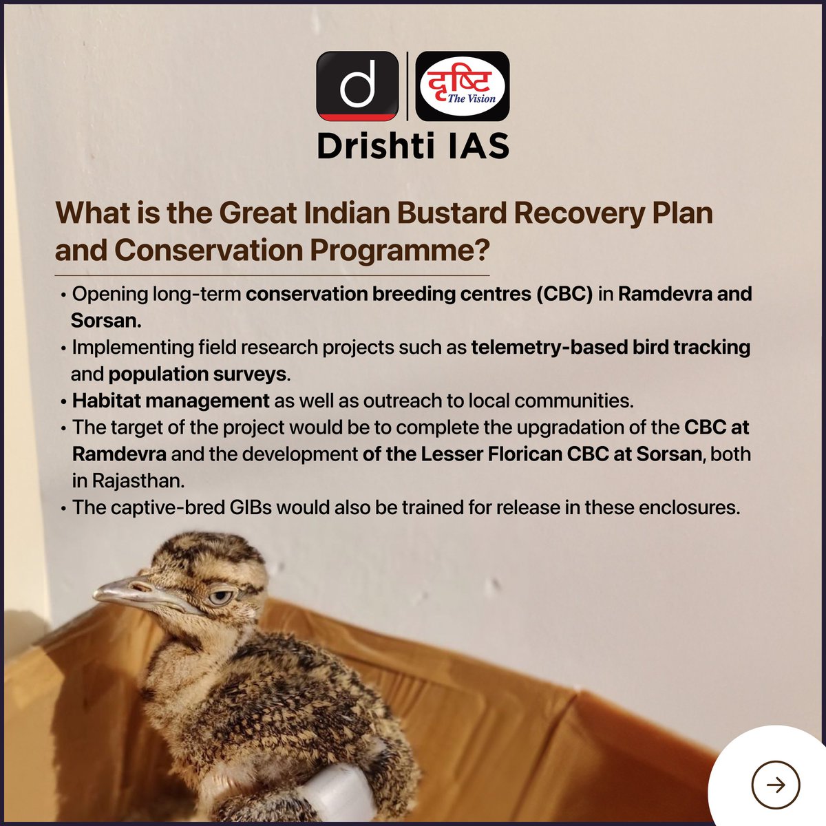 drishtiiaseng's tweet photo. Read about the Great Indian Bustards Recovery Program!
#DrishtiDailyBrief #GreatIndianBustard #Bustards #Recovery #Program #CAMPA #Habitat #Rajasthan #IUCN #NearThreatened #Vulnerable #Endangered #CriticallyEndangered #UPSC #IAS #DrishtiIAS #DrishtiIASEnglish https://t.co/rFNG2yuwhZ